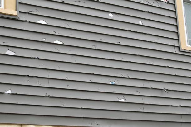 Best Scrap Metal Removal  in Eagle Lake, WI